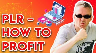 How to Profit From PLR | 7 Quick Methods + 1 Bonus Idea 💰💰