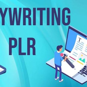 Copywriting PLR - Limited Edition Premium Copywriting PLR